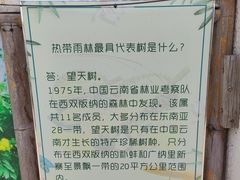 -呀路古热带植物园
