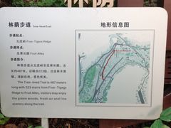-重庆平顶山公园