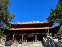 -深圳仙湖植物园