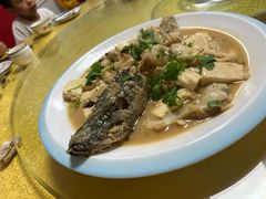 -煲来饱去冷水鱼