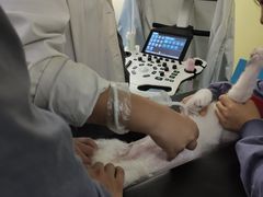 -佳怡动物医院·平价24小时·猫专科骨外科