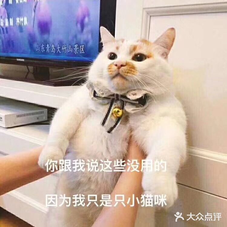 跑到脸微微汗，心速加快，脚步微麻，再拉拉筋