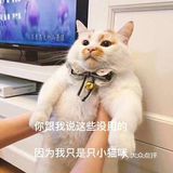 跑到脸微微汗，心速加快，脚步微麻，再拉拉筋