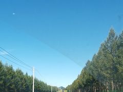 -御道口草原森林风景区