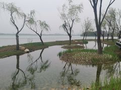 -渤公岛生态公园