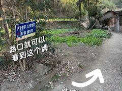 -东钱湖旅游度假区