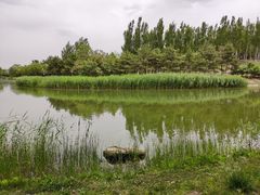 -大兴滨河森林公园