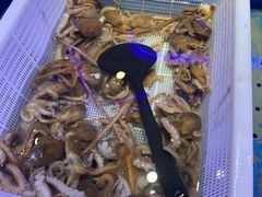 -澜悦港海鲜体验主题餐厅