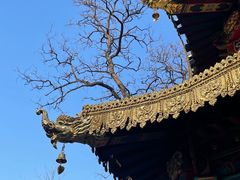 -护国法轮寺