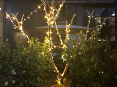 -肴约·花园式餐厅(湖里店)