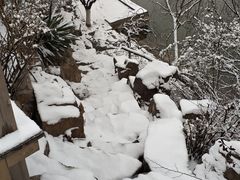 -山东艺术学院(长清校区)