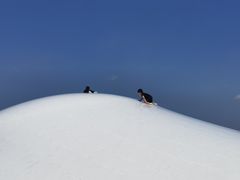 -上海月湖雕塑公园