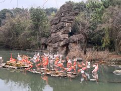 -宁波野生动物园