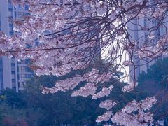 -红星桥(地铁站)