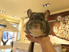 -龙猫仔乐园(惠福东路店)