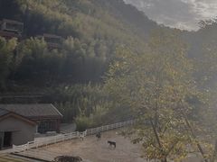 -宁海安岚·南溪阁全日餐厅