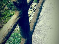 android_upload_pic-神龙峡风景区