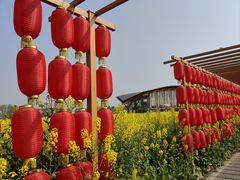 -中国天府农业博览园