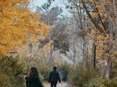 -白鹭湾湿地公园