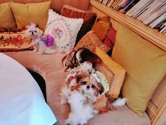 -秘密花园(法华镇路店)