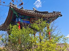 -北京鹫峰国家森林公园