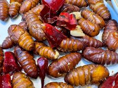 -一轩饺子馆(丽都店)