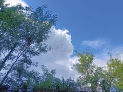 -燕晗山郊野公园
