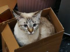 -百年义利(甜水园东里店)