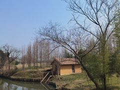 -良渚古城遗址公园