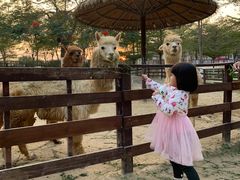 -盈香心动乐园