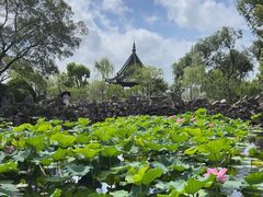 -无锡蠡湖国家湿地公园-蠡园