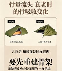 点击看大图 -玛莲朵·海菲秀冰珀科