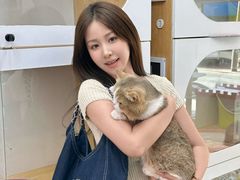 -青奢宠物·青奢猫舍