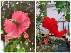 -北京植物园-展览温室