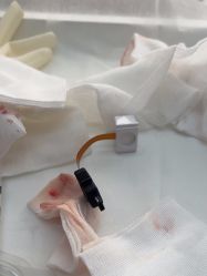 点击看大图 -BR光电保养