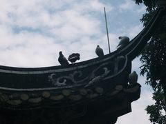 -顺峰山公园