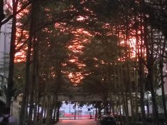 -海南热带海洋学院(三亚校区)