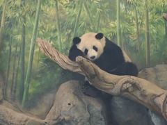 -武汉动物园