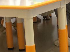-艾克瑞特机器人教育(金狮校区)