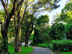 -深圳国际园林花卉博览园