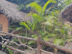 -海南槟榔谷黎苗文化旅游区