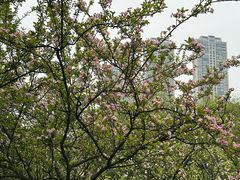 -龙头寺公园