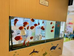 -杭州贝瑞斯美华妇儿医院·早孕·产检·儿科