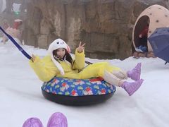 -梦幻奥陶纪景区