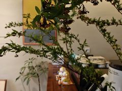 -COTTON CAFE(德信·中外公寓店)