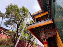 -塔尔寺