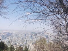 -兰山公园