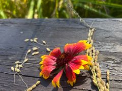 -北坞公园