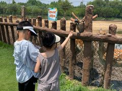 -日照海滨国家森林公园
