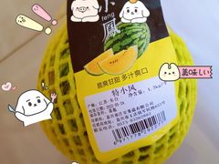 -麦德龙(虹口江湾店)